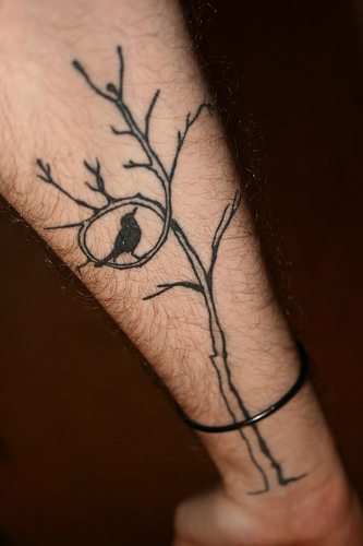 bird silhouette tattoo. Healed #39;ird in a tree#39; tattoo